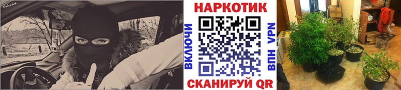 Наркотические вещества Сегежа мега ССЫЛКА  СК  Меф мяу мяу  Псилоцибиновые грибы  Каннабис  Гашиш  COCAIN 