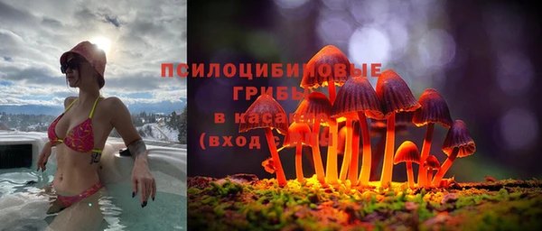 стафф Балахна