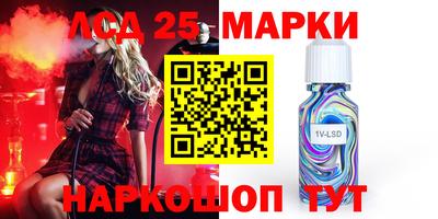 гидра Моздок