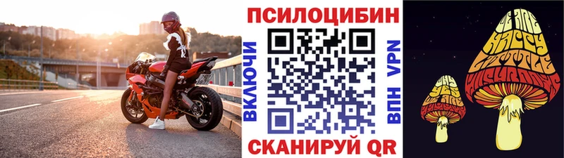 Галлюциногенные грибы Psilocybine cubensis  Сегежа 