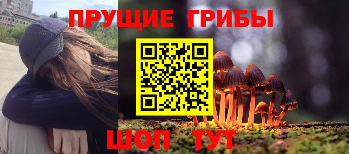 Сегежа  Галлюциногенные грибы Psilocybe  Вход с VPN  Галлюциногенные грибы мухоморы 