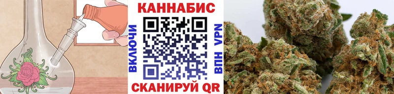 Канабис семена  Сегежа 